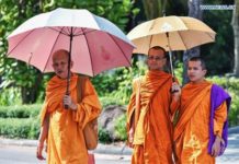 thailand island tourist deaths